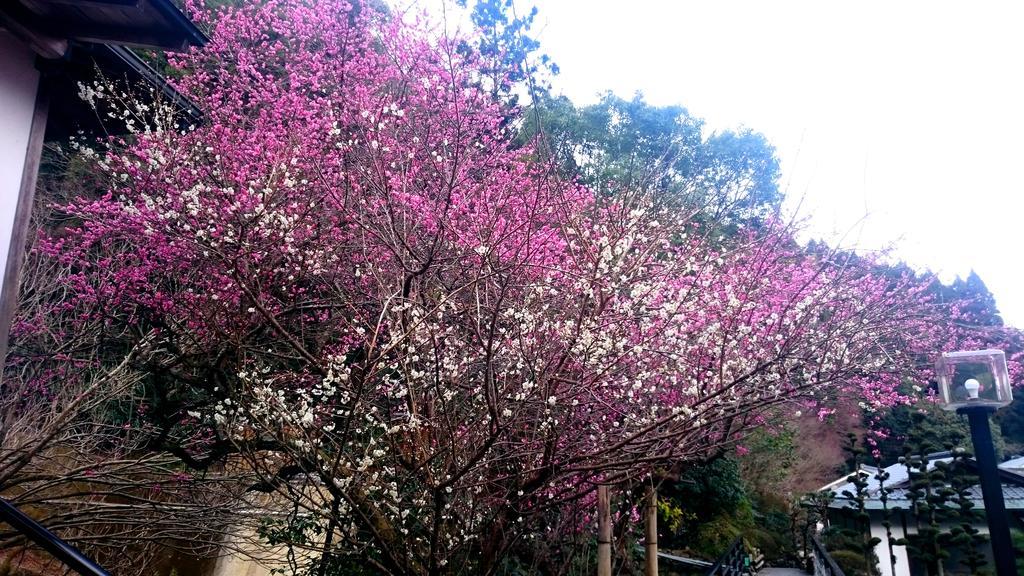 Beppu Showaen Bagian luar foto