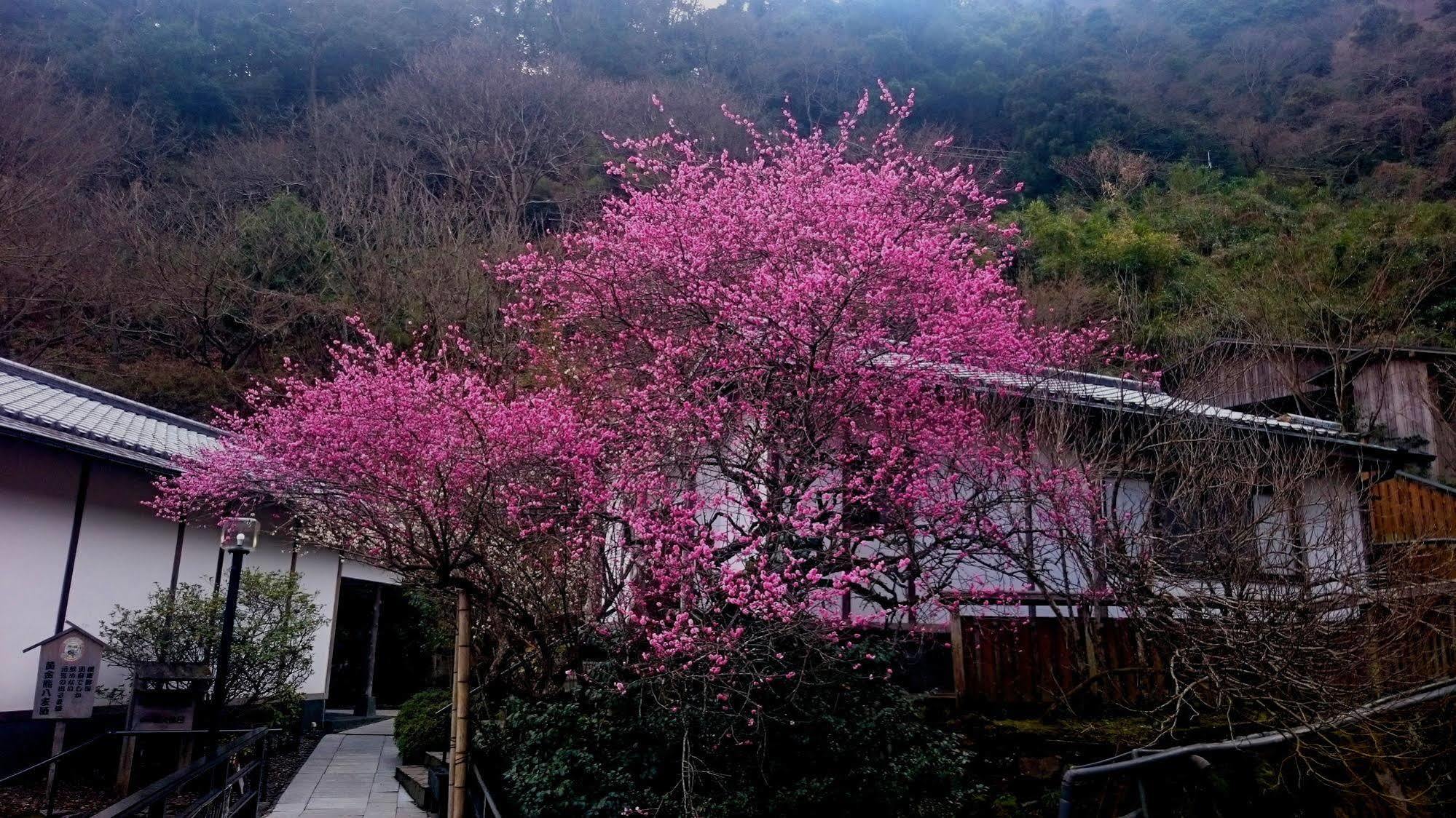Beppu Showaen Bagian luar foto